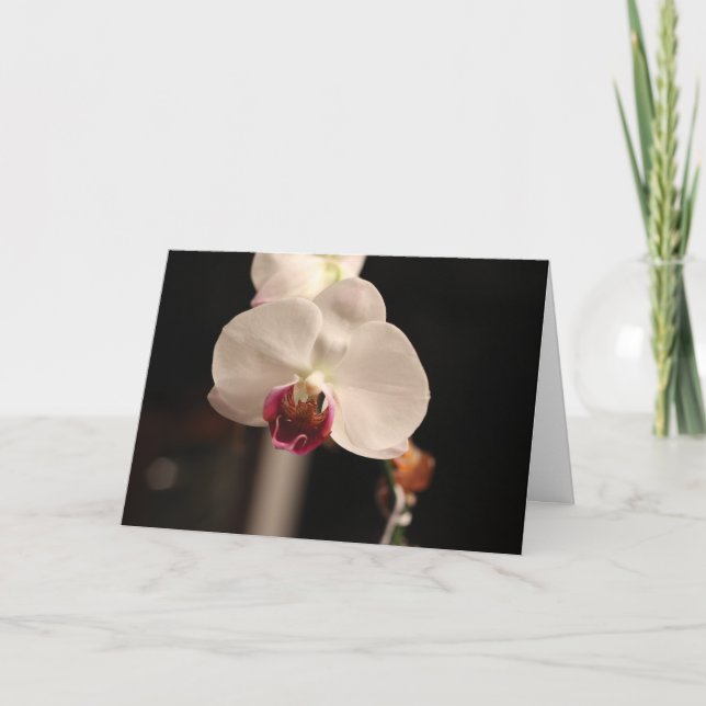 Carte Orchidée blanche et rose "Joyeux anniversaire !" S (Devant)