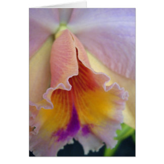 Carte orchidée Cattleya