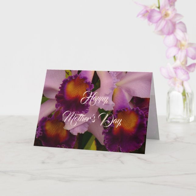 Carte Orchidée Cattleya Pourpre Royal pour la Fête des M (Orchidée)