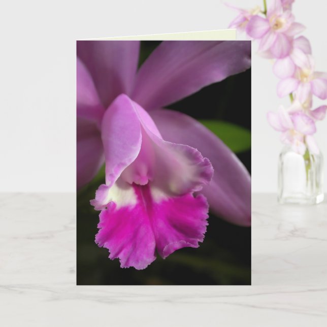 Carte Orchidée de Cattleya (Orchidée)