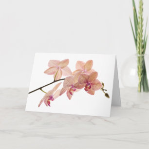 Carte Orchidée Dendrobium rose et Pêche - Customisée