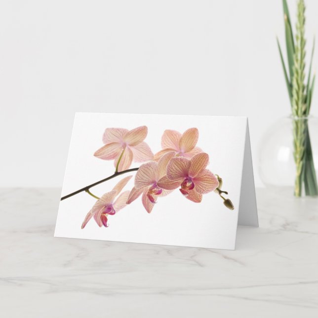 Carte Orchidée Dendrobium rose et Pêche - Customisée (Devant)