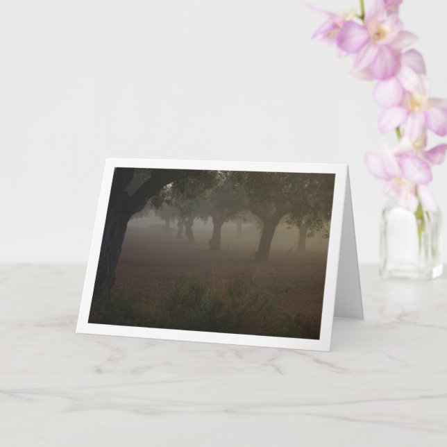 Carte Orchidée d'oliviers à un matin de Foggy (Orchidée)