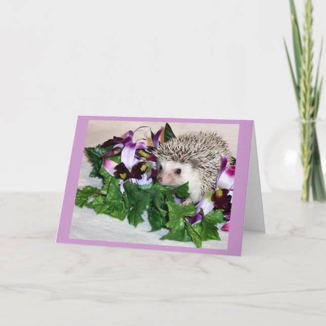 Carte Orchidée le hérisson (Devant)