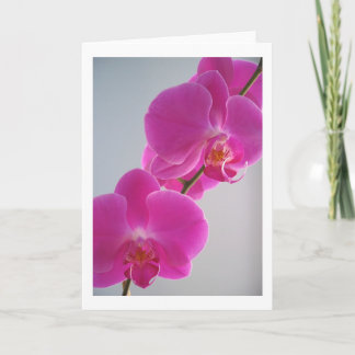 Carte Orchidée rose