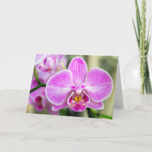 Carte Orchidée violette dit Hi