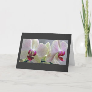 Carte Orchidées #2