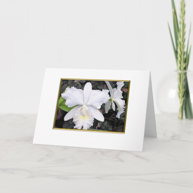 Carte Orchidées blanches croquantes en blanc louche de (Devant)