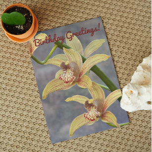 Carte Orchidées de Cymbidium Specké Anniversaire Floral