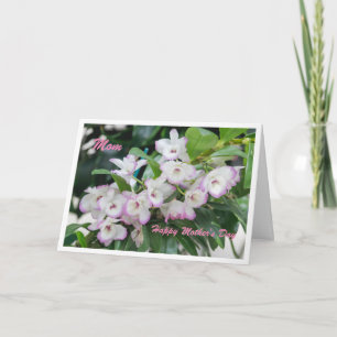 Carte Orchidées Fête des Mères