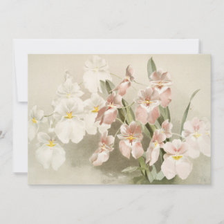 Carte Orchidées Fleur Vintage vieille illustration