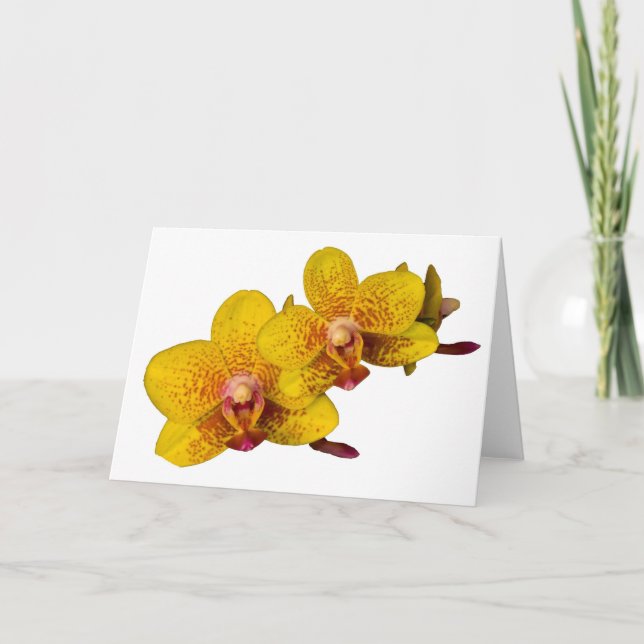 Carte Orchidées jaunes sur blanc (Devant)