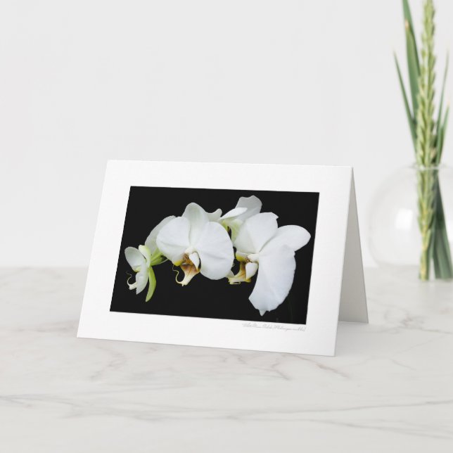 Carte Orchidées Lune Blanche Photo Cadre (Devant)