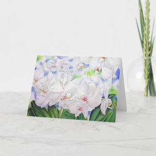 Carte Orchidées Phalaenopsis