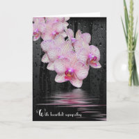Orchidées rose en sympathie avec Raindrops