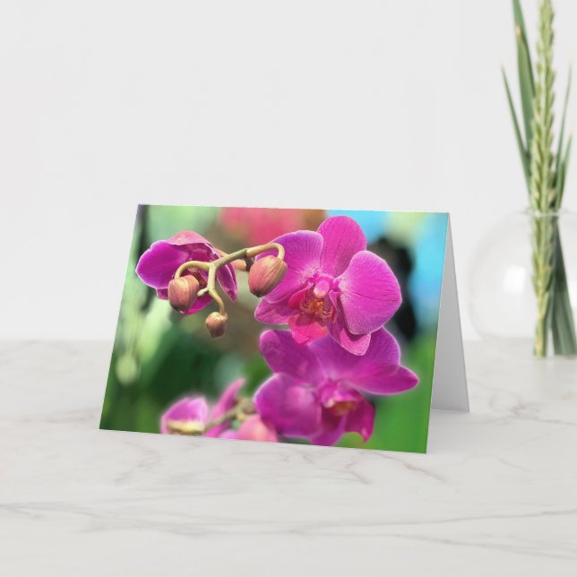 Carte Orchidées roses  (Devant)