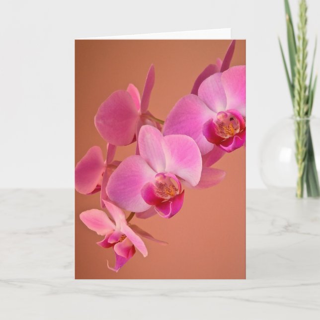 Carte Orchidées Roses (Devant)