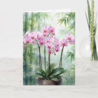 Orchidées roses d'anniversaire sur bambou vert
