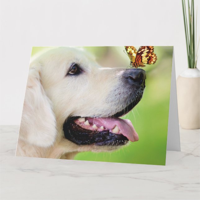 Carte Oreiller À Lancer Du Labrador Et Du Papillon (Devant)
