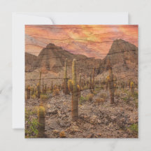 Organ Pipe Cactus On Wood Grain Sunset Photo