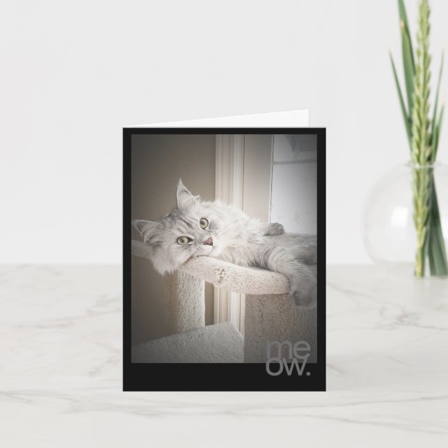 Carte originale d'anniversaire de Meow traduite (Devant)