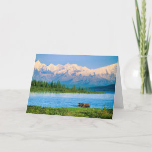 Carte Orignal mâle dans le Wonder Lake