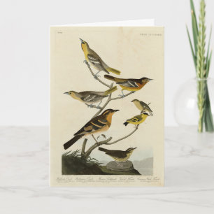 Carte Orioles, Thrushes, des oiseaux d'Amérique d'Audubo