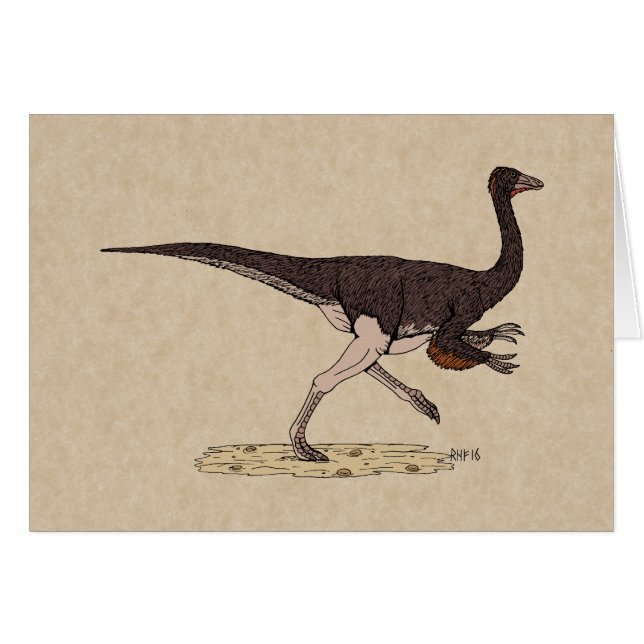 Carte Ornithomimus Dinosaure Crétacé (Devant horizontal)