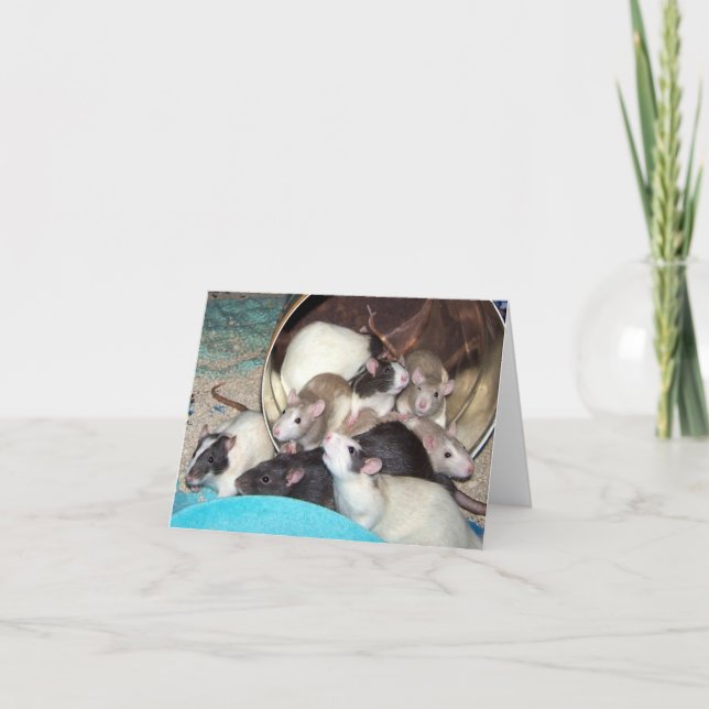 Carte Orvietta and Kids (Devant)