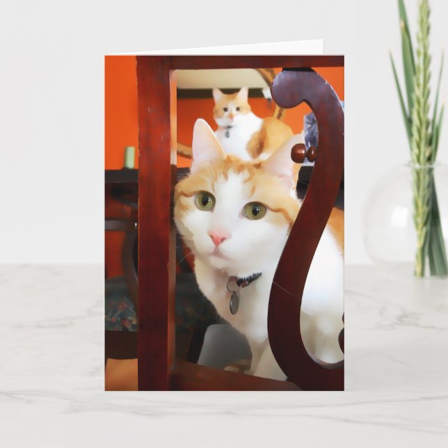 Carte OSCAR & ERNIE heARTcats (Devant)