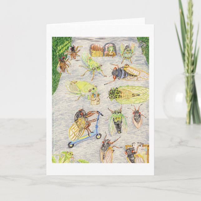 Carte Oscar Et Cassandra Et Leurs Amis Du Canada (Devant)