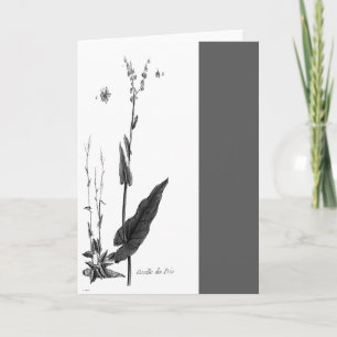 Carte Oseille de Prés