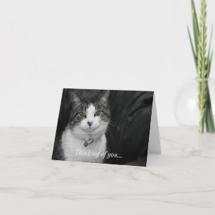 Carte Osez regarder dans mes yeux verts en pensant à vou