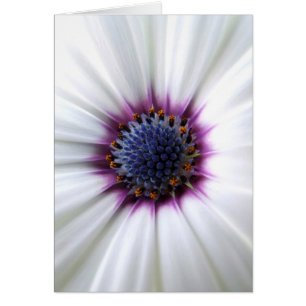 Carte Osteospurmum