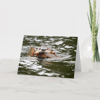 Carte Otter et poisson de rivière