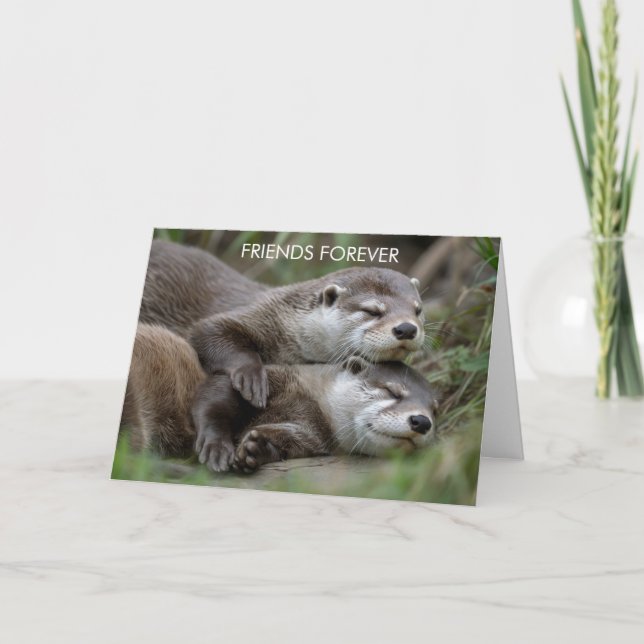 Carte Otter Friends Forever Friendship (Devant)