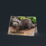 Carte Otterly Adorable Petit Otter gris, Joyeux Annivers<br><div class="desc">Sur cette carte figure une petite Otter grise qui attend des poissons avec un joyeux logo d'anniversaire.</div>