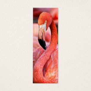 Carte ou signet de profil de Flamant rose