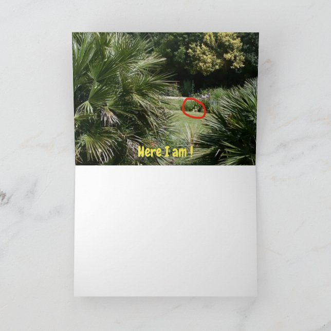 Carte Où suis-je ? (Intérieur)