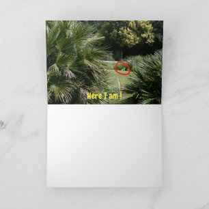 Carte Où suis-je ?