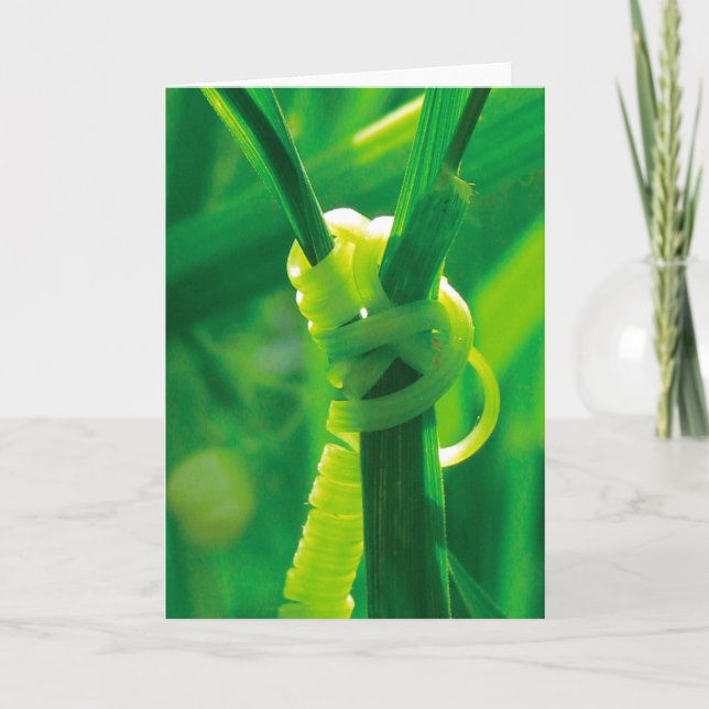 Carte Oui, vous pouvez ! Rosie la rivaeteuse plante grim (Devant)