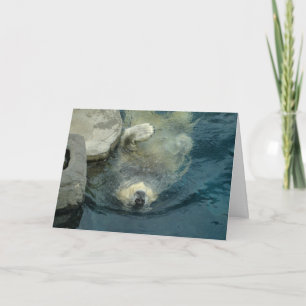 Carte Ours blanc retiré