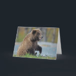 Carte Ours Brown d'Alaska chez Kenai NWR<br><div class="desc">Un ours Brown d'Alaska (arctos d'Ursus) se repose sur les banques de la rivière russe dans la réserve de ressortissant de Kenai de l'Alaska.  Copyright Steven Holt.</div>
