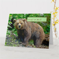 OURS/. CALINS D'OURS À VENIR