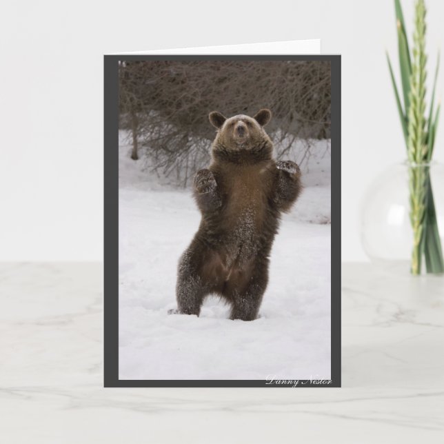 Carte Ours dansant (Devant)