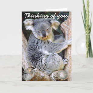 Carte Ours de koala Love_
