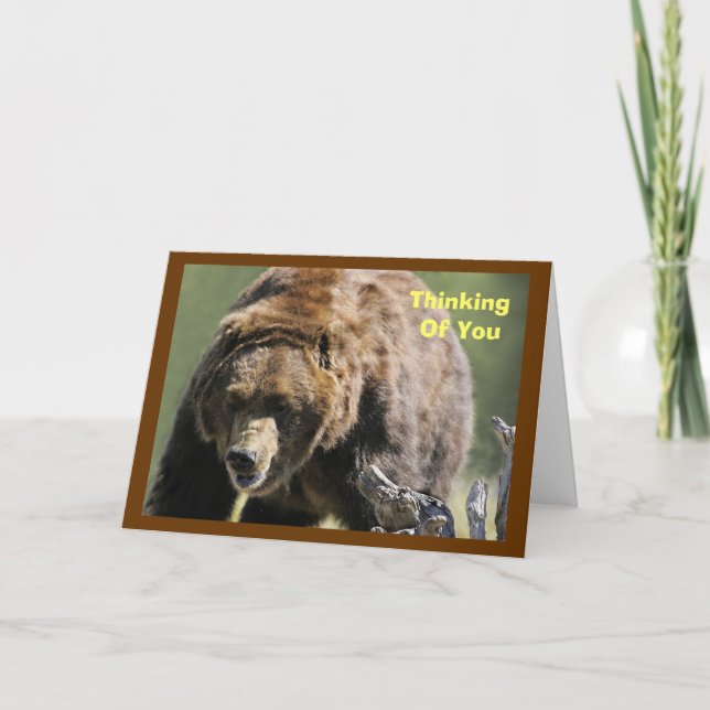 Carte Ours gris, encouragement militaire (Devant)