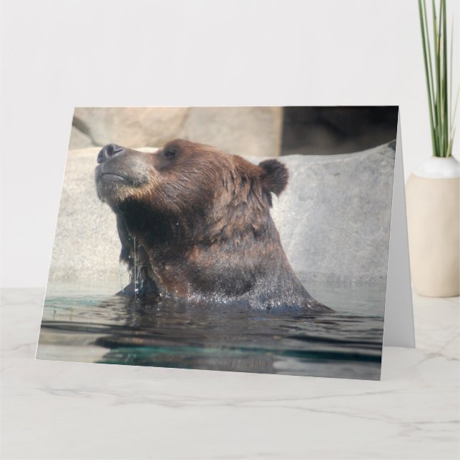 Carte Ours grizzli mignon Jouer dans l'eau (Devant)
