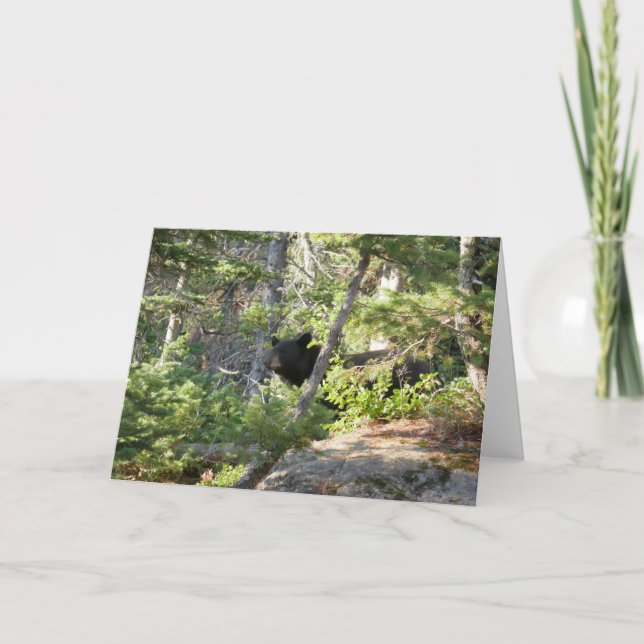 Carte Ours noir à Grand Teton (Devant)