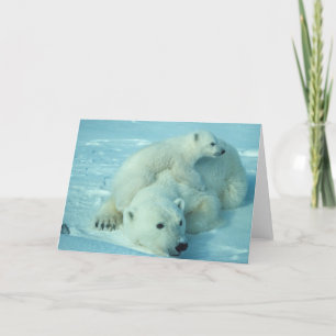 Carte Ours polaire avec petit
